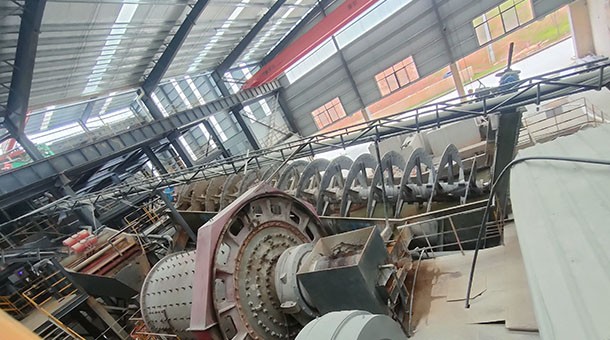 Copper and Gold Ore Processing Plant